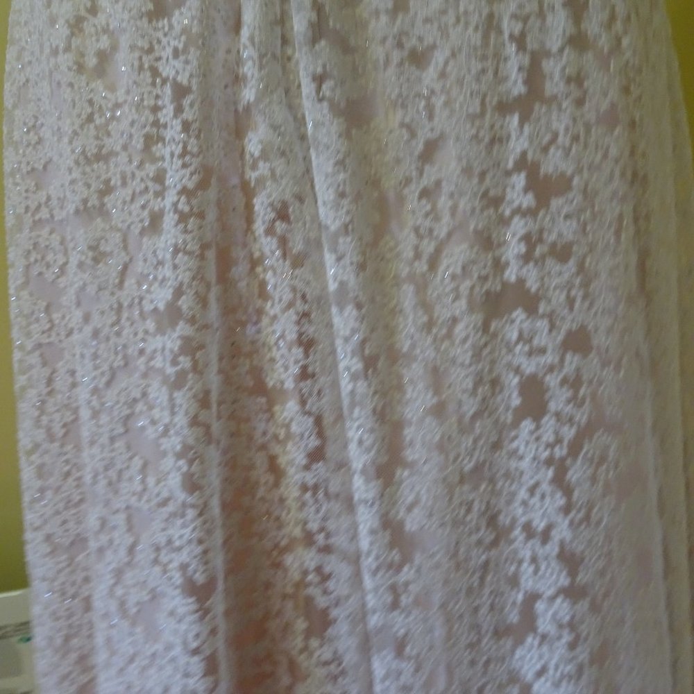 Ladies Size 14 Champagne Lace Dress-NEW - Picture 6 of 8